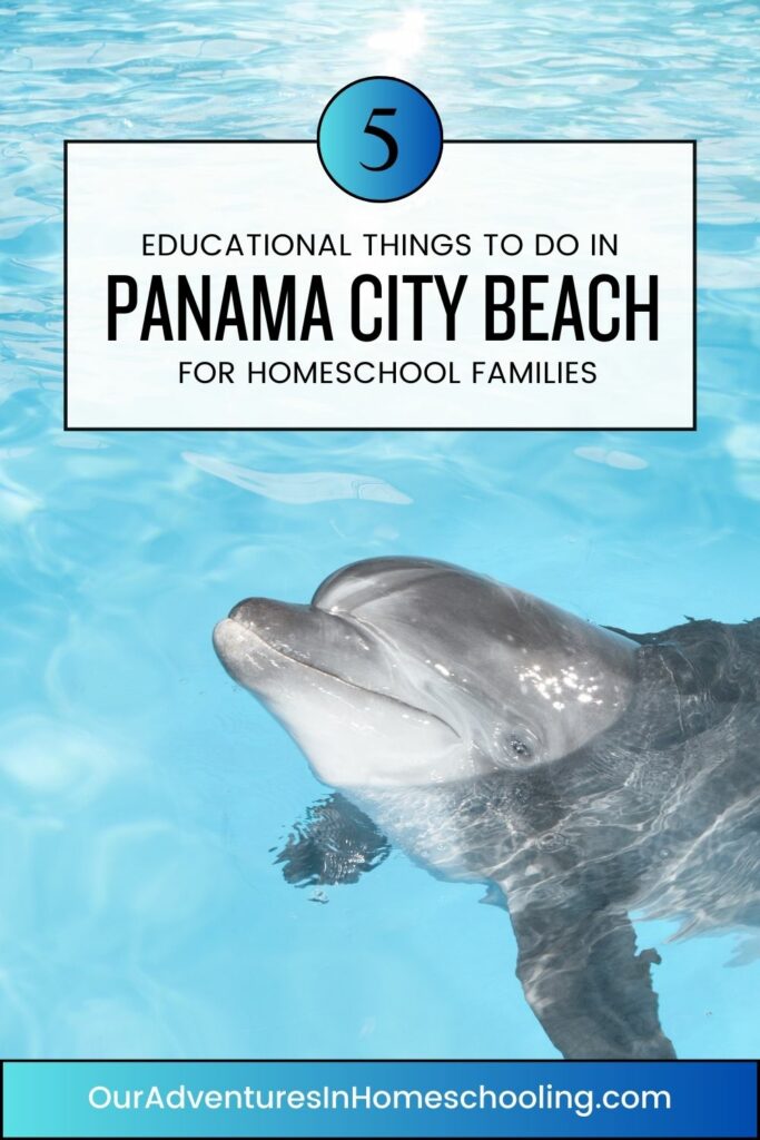 things to do in Panama City Beach for Families