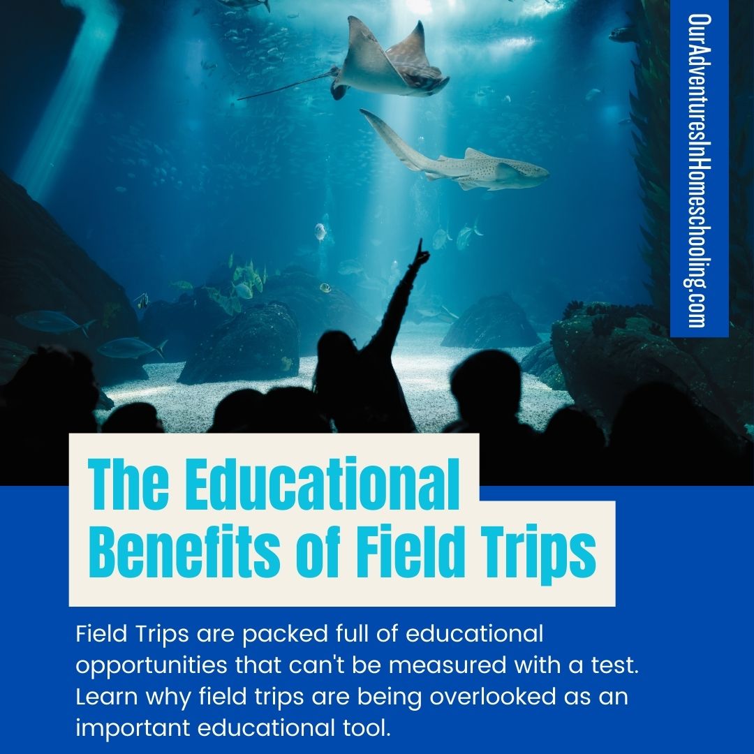 The Importance of Field Trips