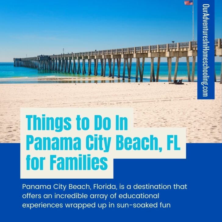 Fun Educational Things to Do in Panama City Beach for Families